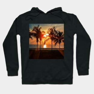 Silhouette Of Trees during Golden Hour Hoodie